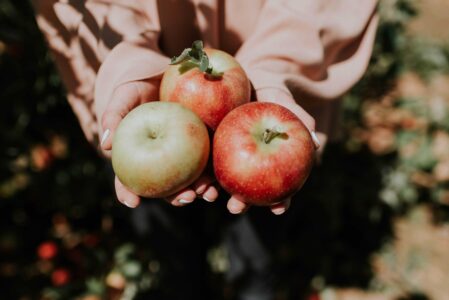 8 delicious foods that will help fight abdominal fat