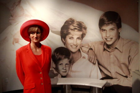 Who Knew Princess Diana's Mental State Better William or Harry A Deep Dive into Royal Dynamics