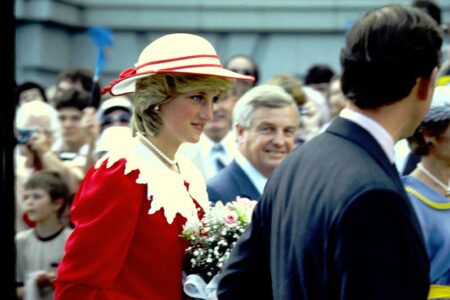 Who Knew Princess Diana's Mental State Better William or Harry A Deep Dive into Royal Dynamics