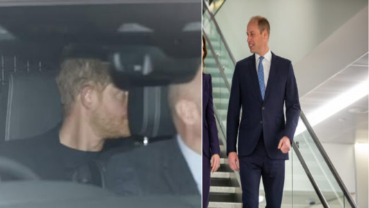 Prince William's Path to Fulfillment vs. Prince Harry's Endless Bitterness A Tale of Two Brothers
