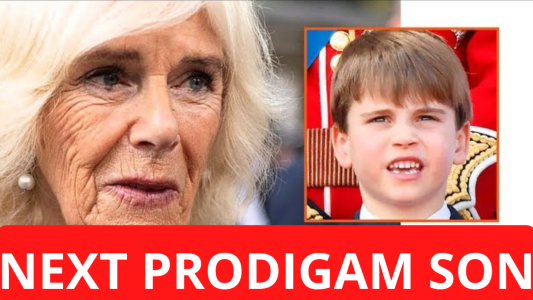 Queen Camilla Worried as She Compares Louis with Harry After He Was Excluded from Royal Outings