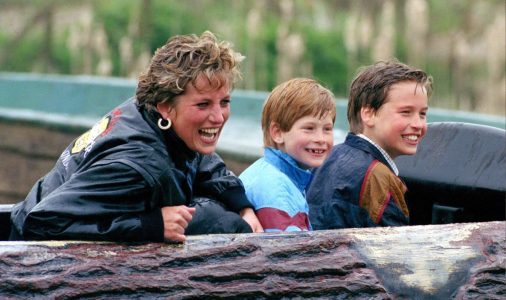 The Heartbreaking Truth About Harry, William, and Their Memories of Diana